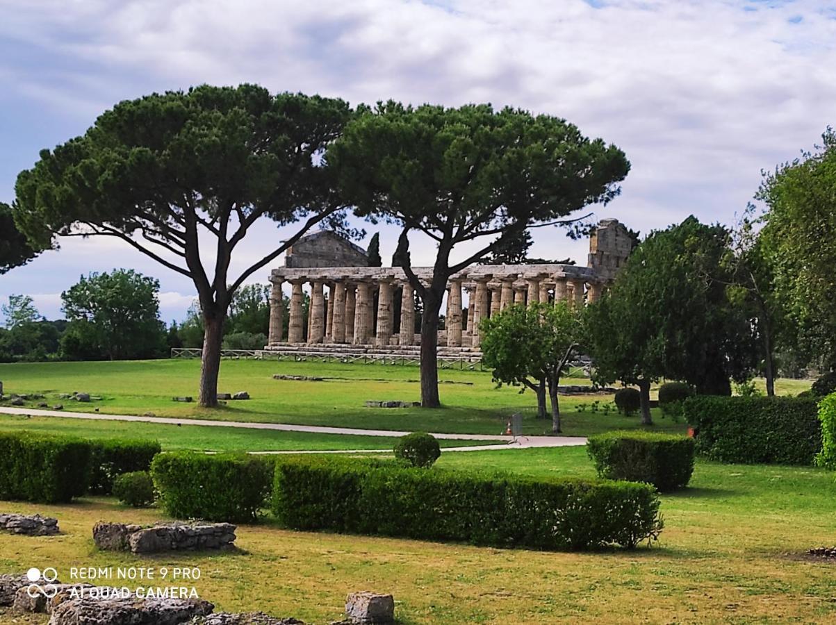 B&B Villa Di Bartolomeo 카파치오페스툼 외부 사진